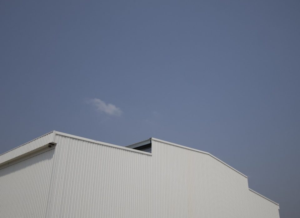 IMG_0006 (Large)