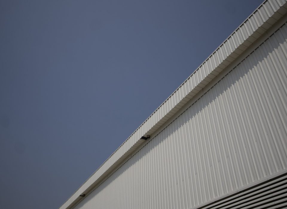 IMG_0018 (Large)