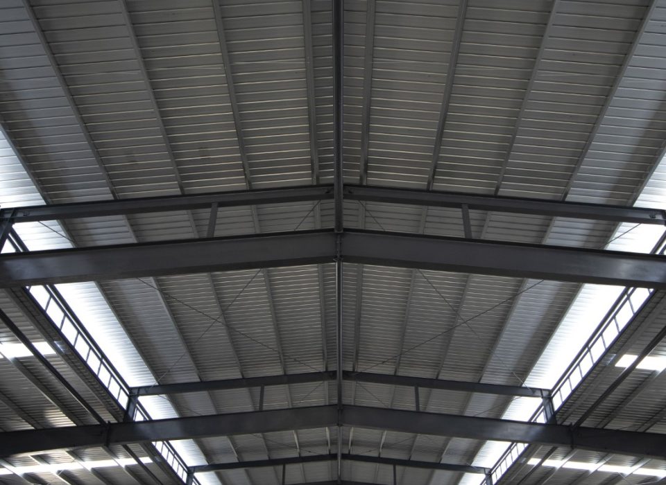 IMG_9917 (Large)